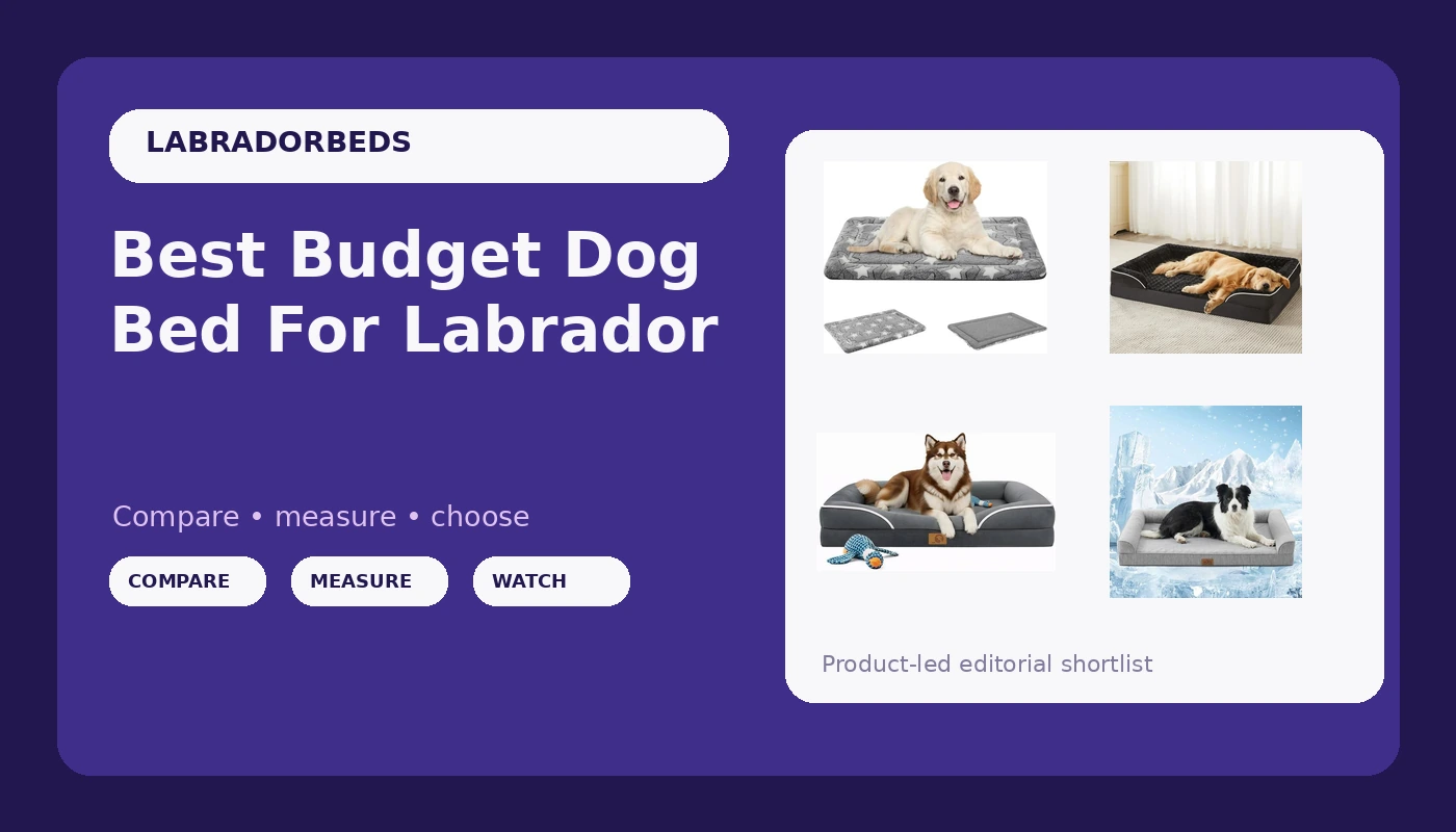 Best Budget Dog Bed For Labrador - LabradorBedGuide review with measurements and honest opinion