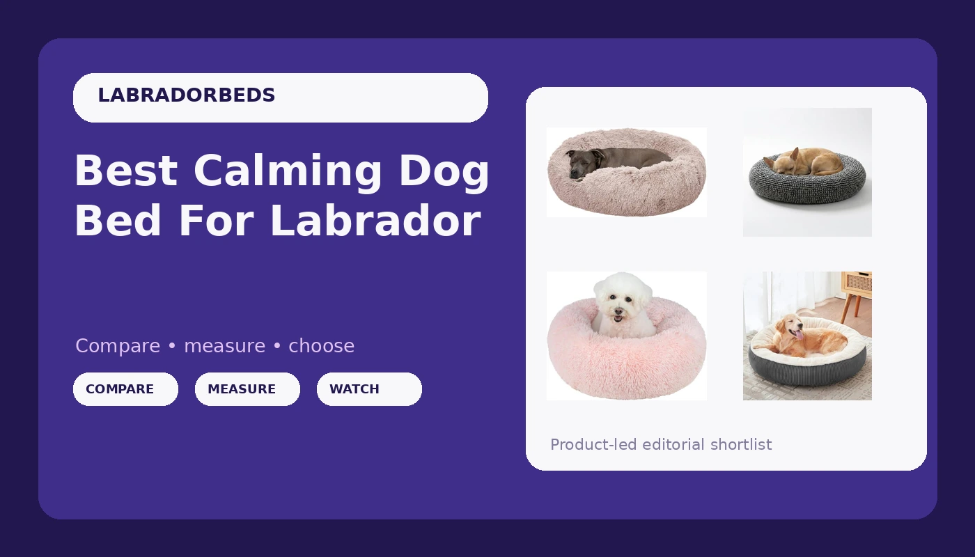 Best Calming Dog Bed For Labrador - LabradorBedGuide review with measurements and honest opinion