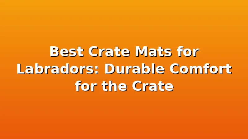 Best Crate Mats for Labradors: Durable Comfort for the Crate - LabradorBedGuide review with measurements and honest opinion