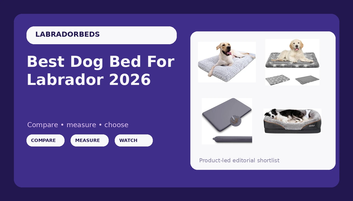 Best Dog Bed For Labrador 2026 - LabradorBedGuide review with measurements and honest opinion