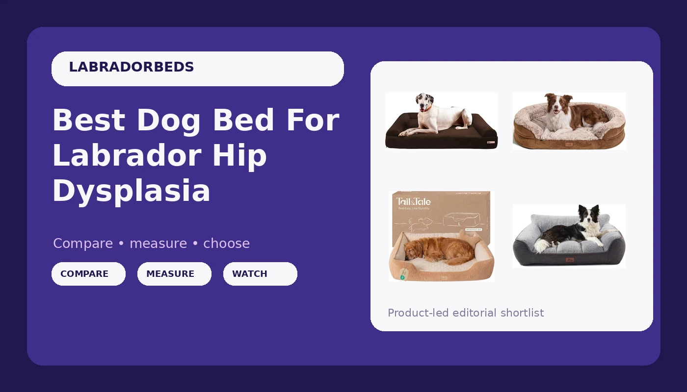 Best Dog Bed For Labrador Hip Dysplasia - LabradorBedGuide review with measurements and honest opinion