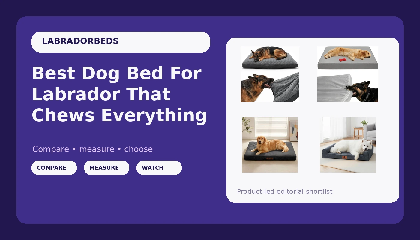 Best Dog Bed For Labrador That Chews Everything - LabradorBedGuide review with measurements and honest opinion