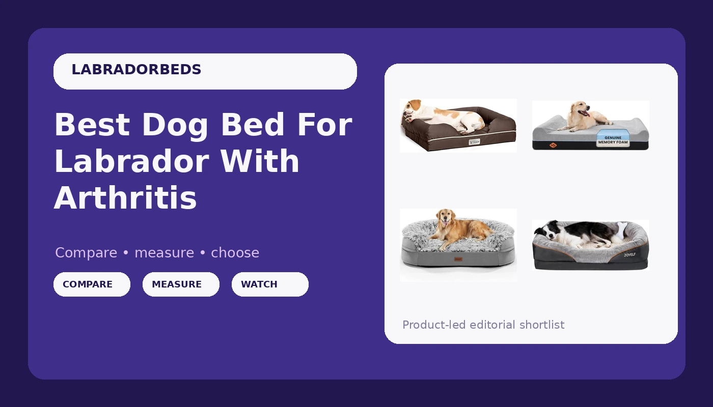 Best Dog Bed For Labrador With Arthritis - LabradorBedGuide review with measurements and honest opinion