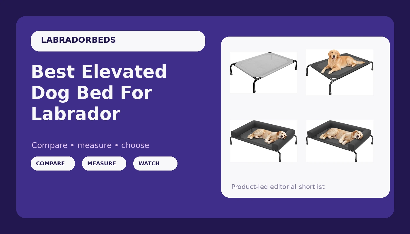 Best Elevated Dog Bed For Labrador - LabradorBedGuide review with measurements and honest opinion
