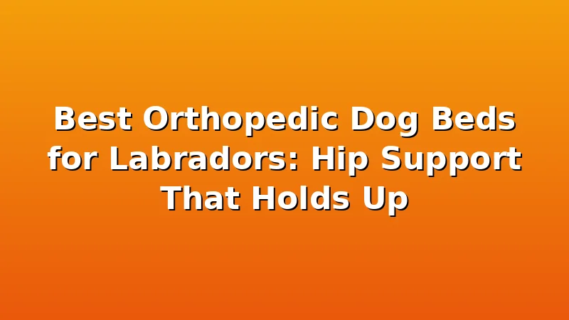 Best Orthopedic Dog Beds for Labradors: Hip Support That Holds Up - LabradorBedGuide review with measurements and honest opinion
