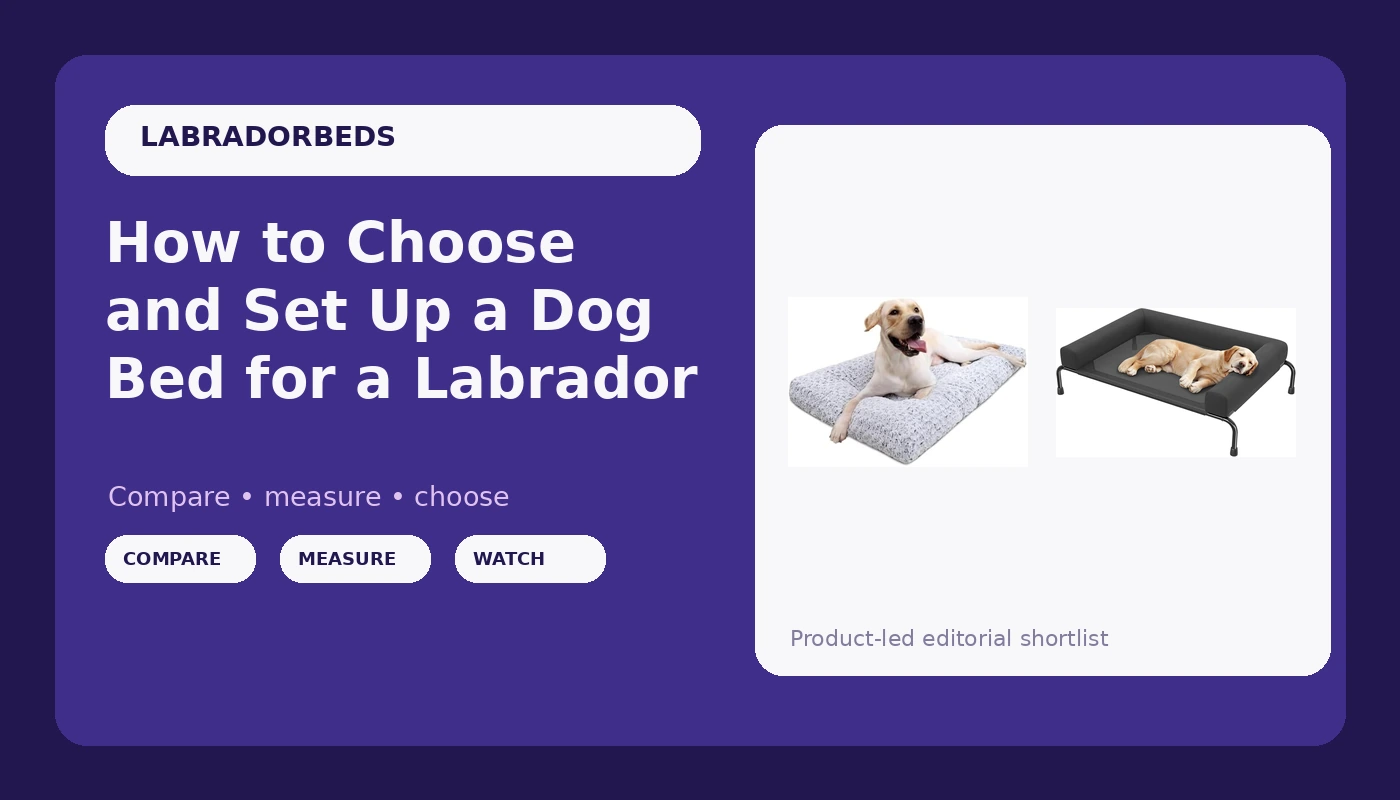 How to Choose and Set Up a Dog Bed for a Labrador