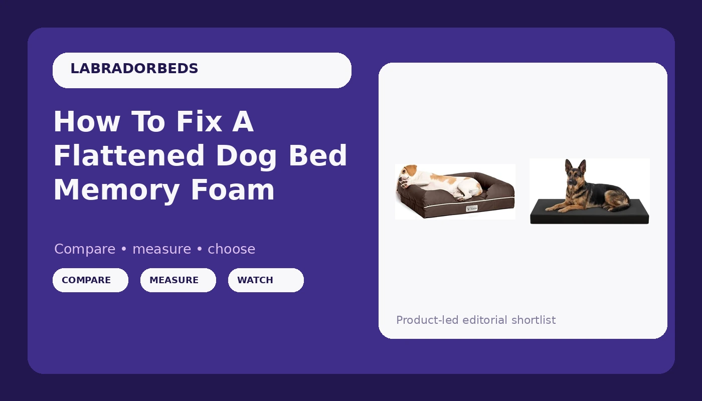How To Fix A Flattened Dog Bed Memory Foam - LabradorBedGuide review with measurements and honest opinion