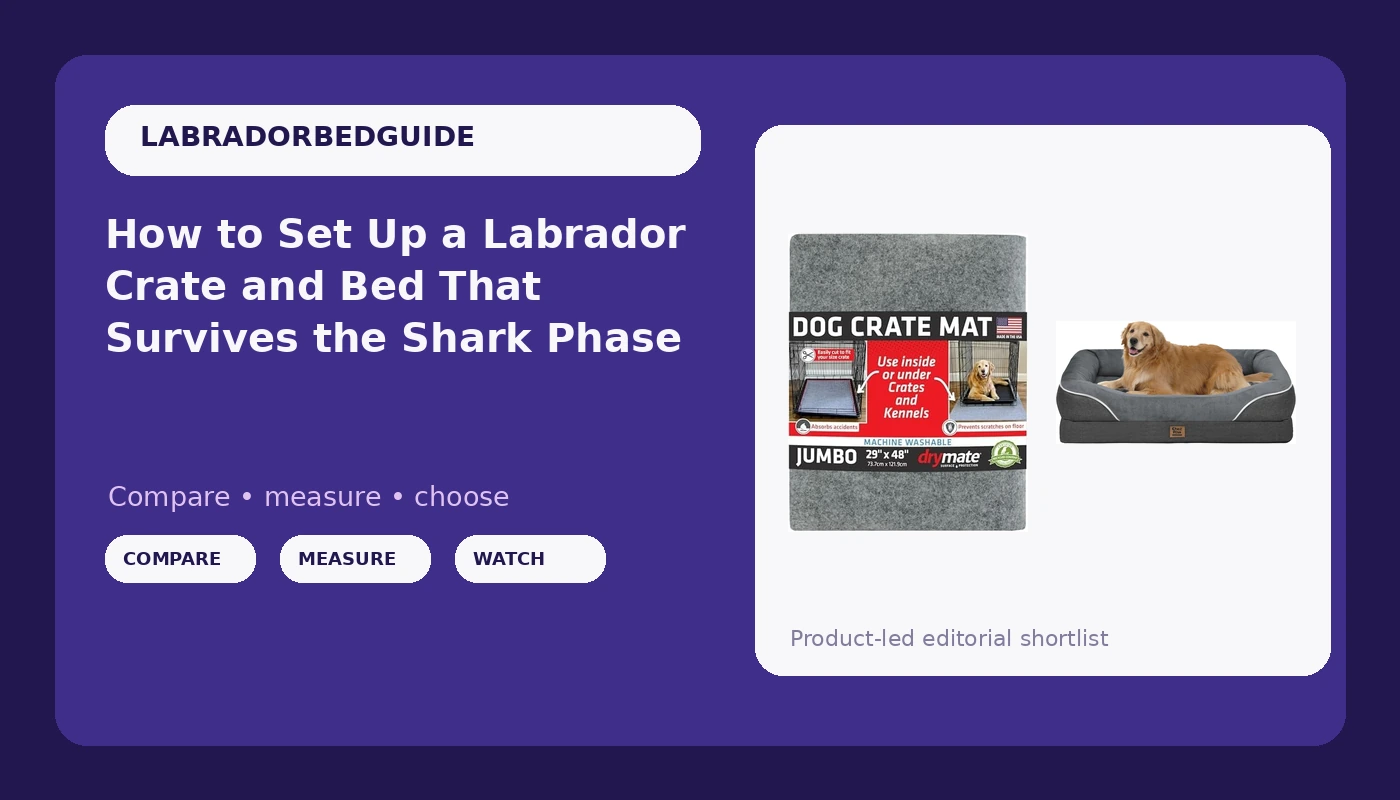 How to Set Up a Labrador Crate and Bed That Survives the Shark Phase