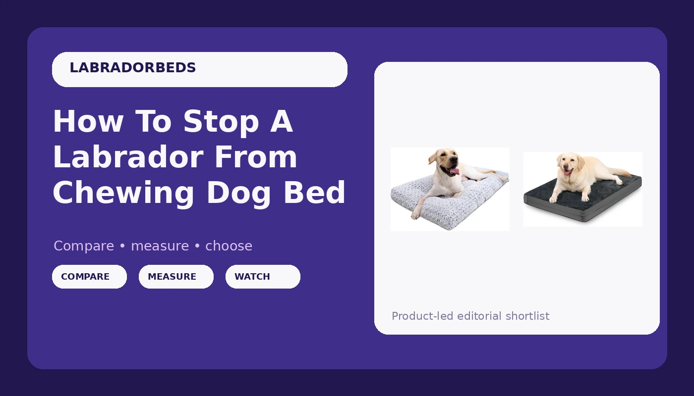 How To Stop A Labrador From Chewing Dog Bed - LabradorBedGuide review with measurements and honest opinion