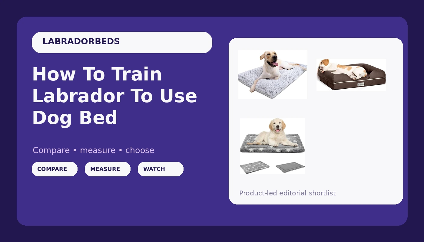 How To Train Labrador To Use Dog Bed - LabradorBedGuide review with measurements and honest opinion
