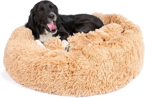BarkBox Dog Bed Memory Foam Donut Cuddler