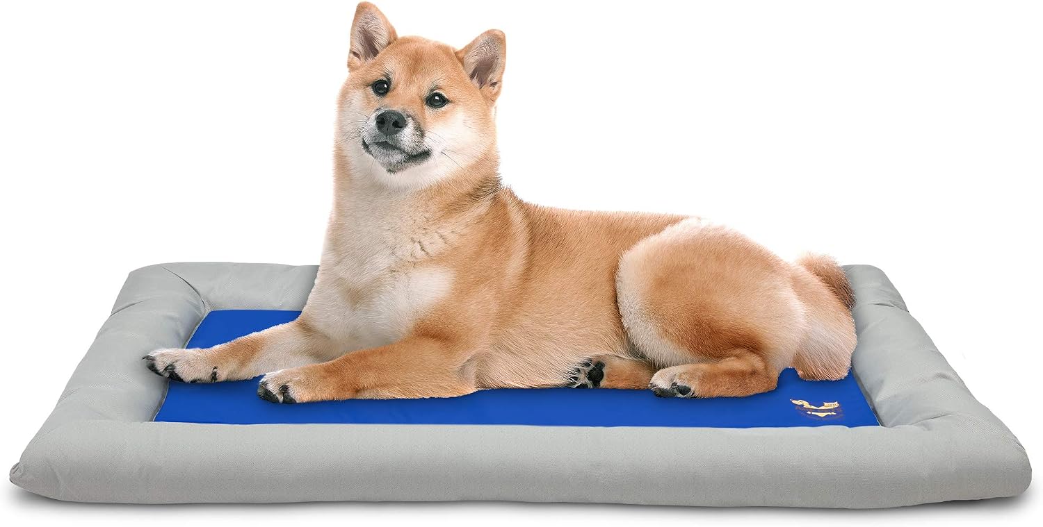 The One I’d Skip: Arf Pets Cooling Gel Orthopedic Bed (B08C1K71HZ)