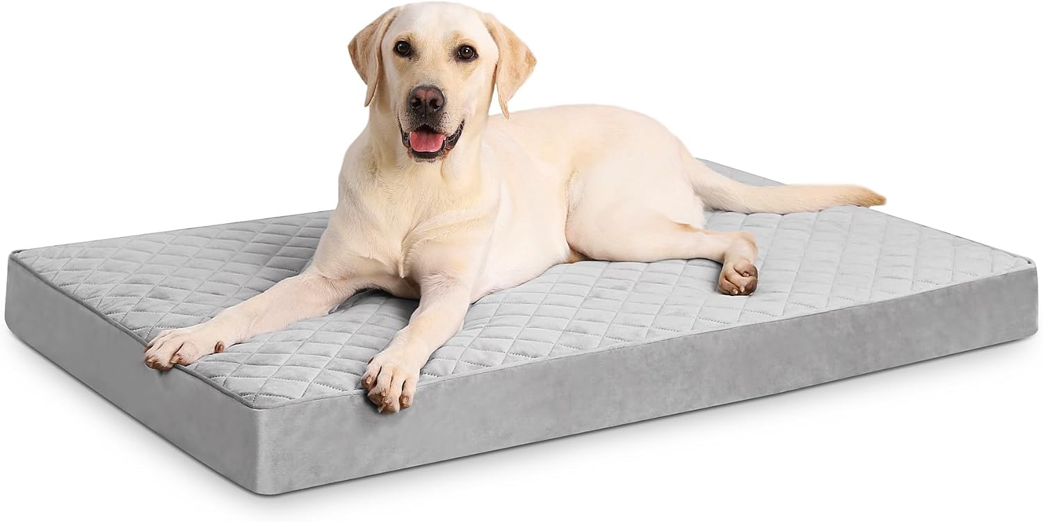 NUPIDA Orthopedic Memory Foam