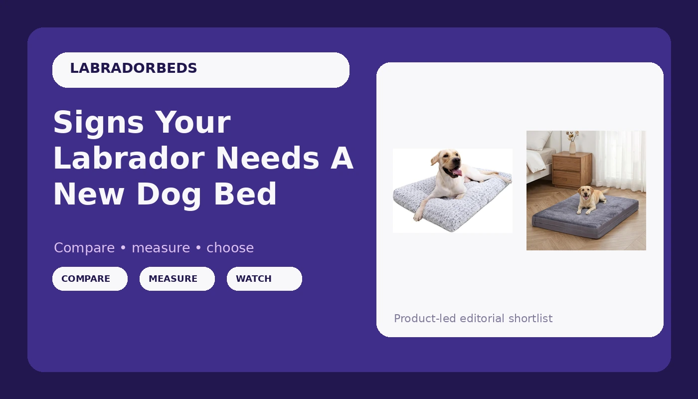 Signs Your Labrador Needs A New Dog Bed - LabradorBedGuide review with measurements and honest opinion